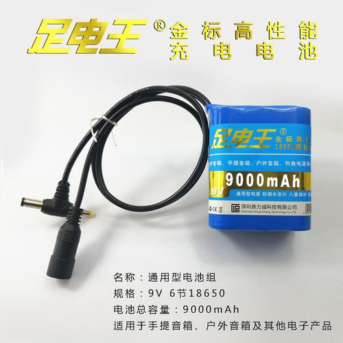 足电王品牌 18650锂电池组9v 适用于各种音箱和电子设备送收纳袋